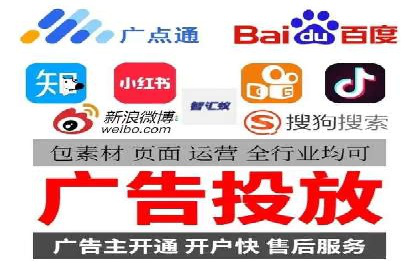某行业领军企业的SEM广告投放策略