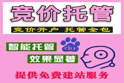 网络推广策略：竞价广告的实践案例